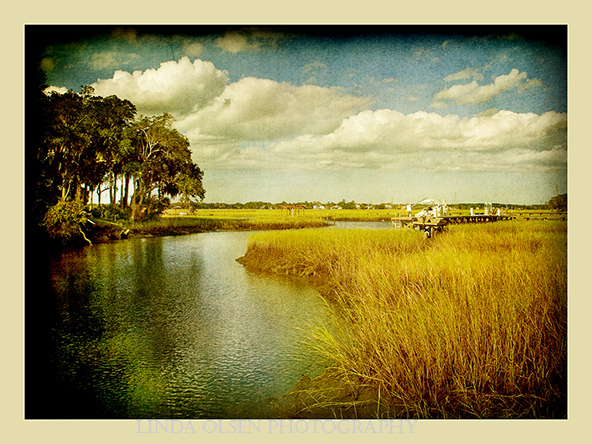 I have such a fondness for the southern landscapes and love creating different art images from my captures. These fine art photo s can be custom printed most any size on demand. The latest one of the lone palm was taken Monday evening while visiting girlfriends at a get together on the river in Arlington.